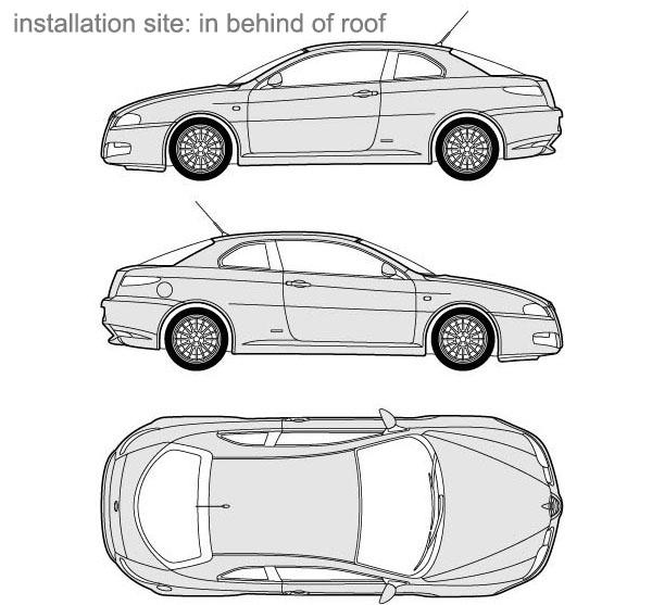 Schwarzes Plastikauto-Luftdekorationen passten Uinversals-Auto, Autoradio-Antenne